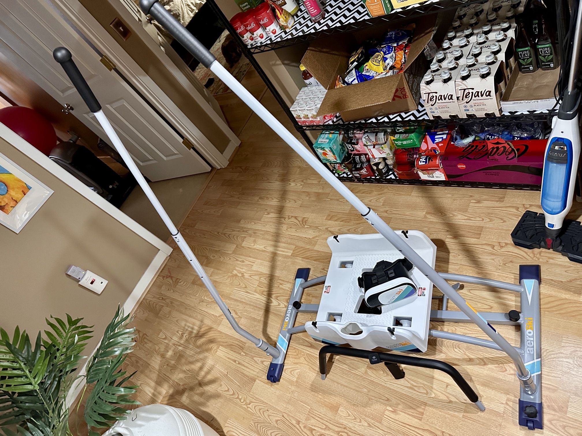 Aeroski Skier