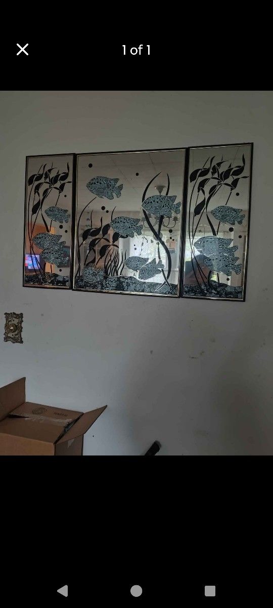 Gorgeous 3 piece Fish wall Hanging 