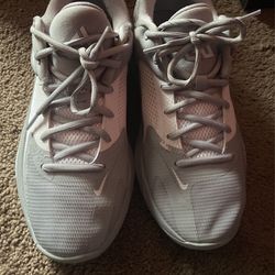 Zoom Freak 4 TB wolf grey, white wolf.