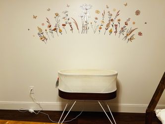 EUC Snoo Bassinet