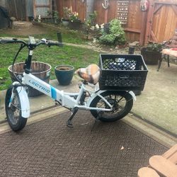 Lectric E-bike