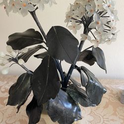 Bonsai Hoya Plant ( Crystal)