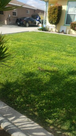 Jardinero