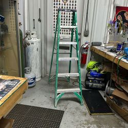 6” Fiberglass Ladder