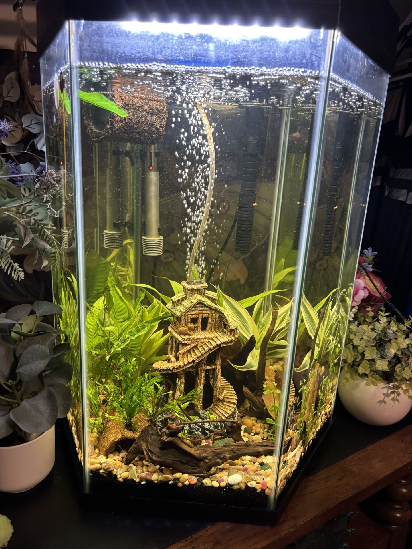 Top Fin 25 Gallon Hexagon Tank