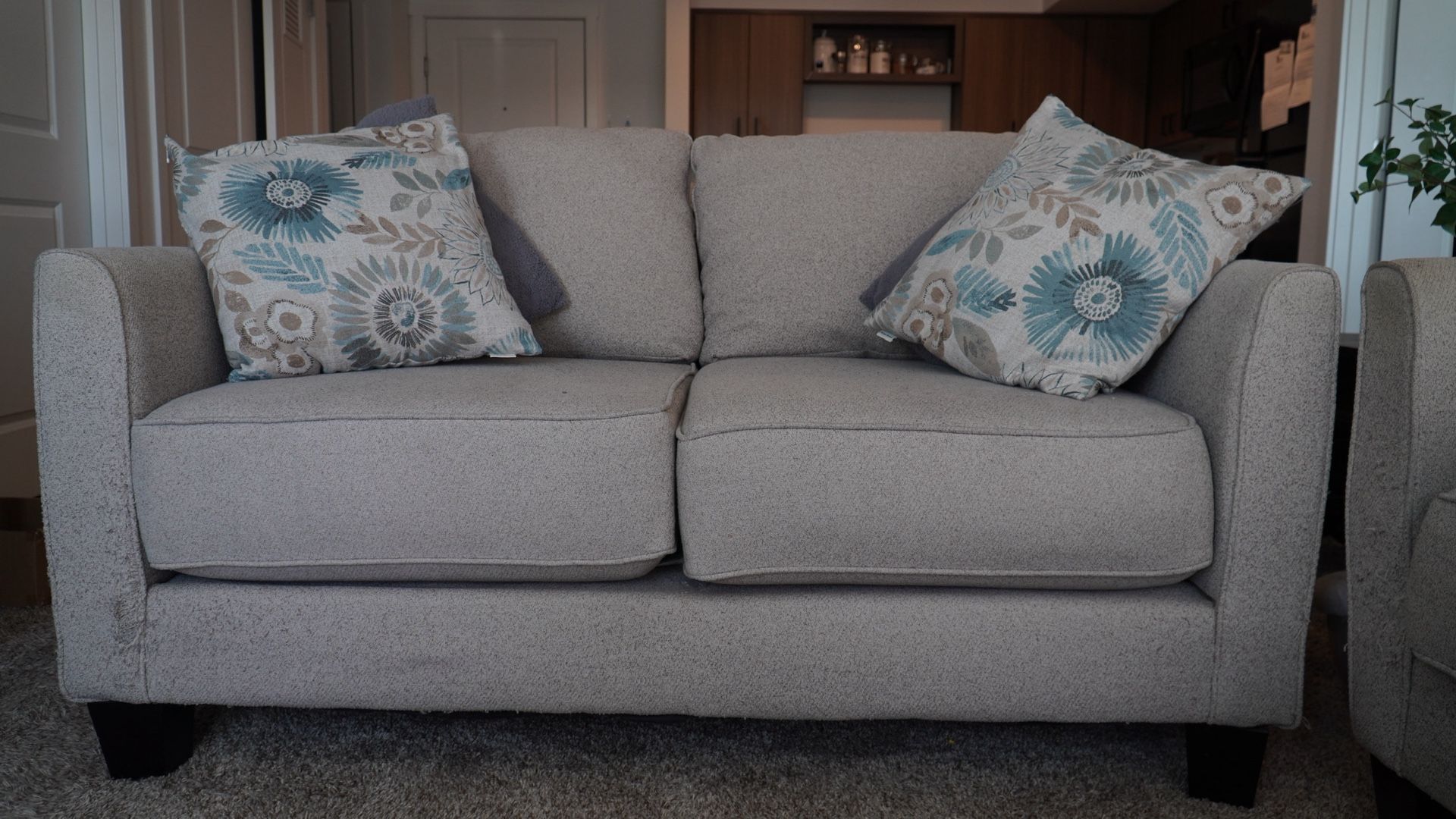 Love Seat Sofa