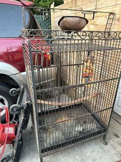 Bird Cage