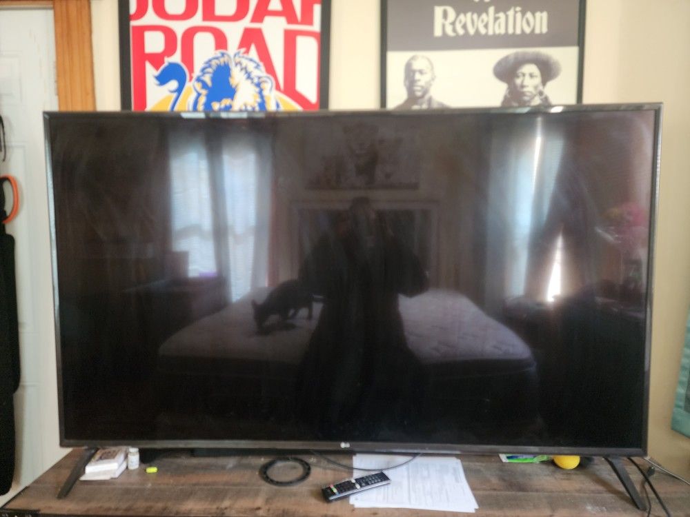 65in. LG TV