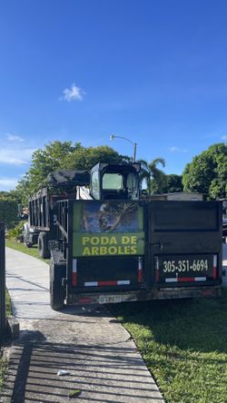 Tree Trimmer (Servicio De Bobcats ) y excavation……