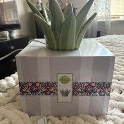 Scentsy wax warmer