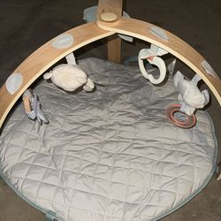 Newborn Pack & Play