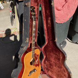 1973 Gibson Dove