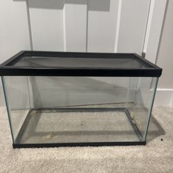 10 Gallon Tank With Screen Lid 