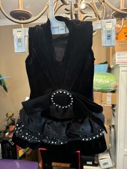 Halloween Pet Costume