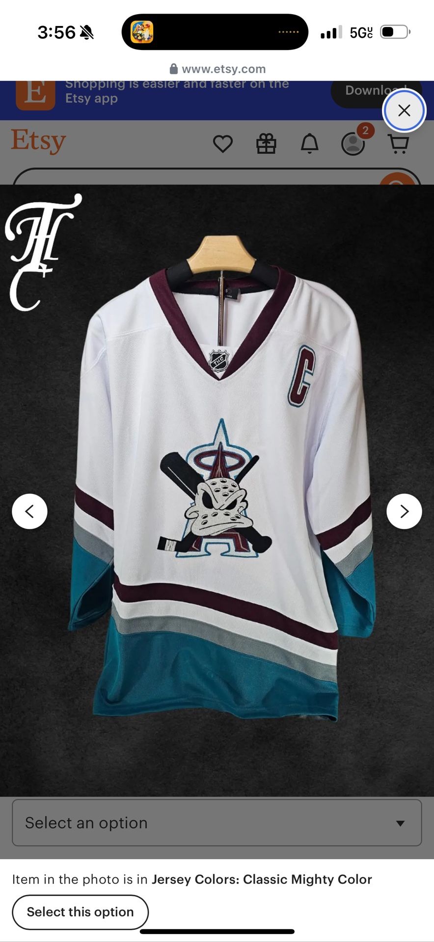 Anaheim Ducks/Angels Jersey