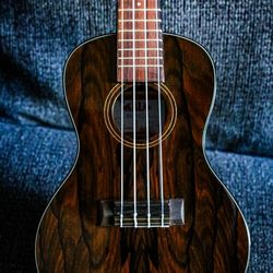 Kala Ziricote Concert Ukulele – Like New + Hard Case & Beginner Book