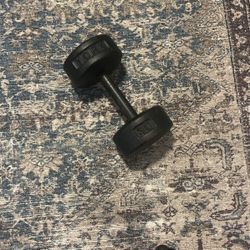 30 Lbs. Dumbbell Black