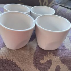 Little Cups Set 5 Dlrs