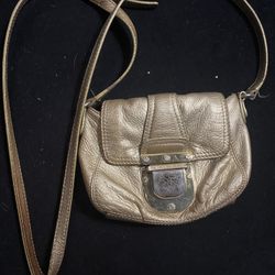 Gold Purse