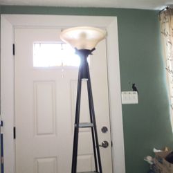 Floor Lamp, 3 Tier Modern Shelf 69"tall.