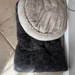 Two Dog Beds