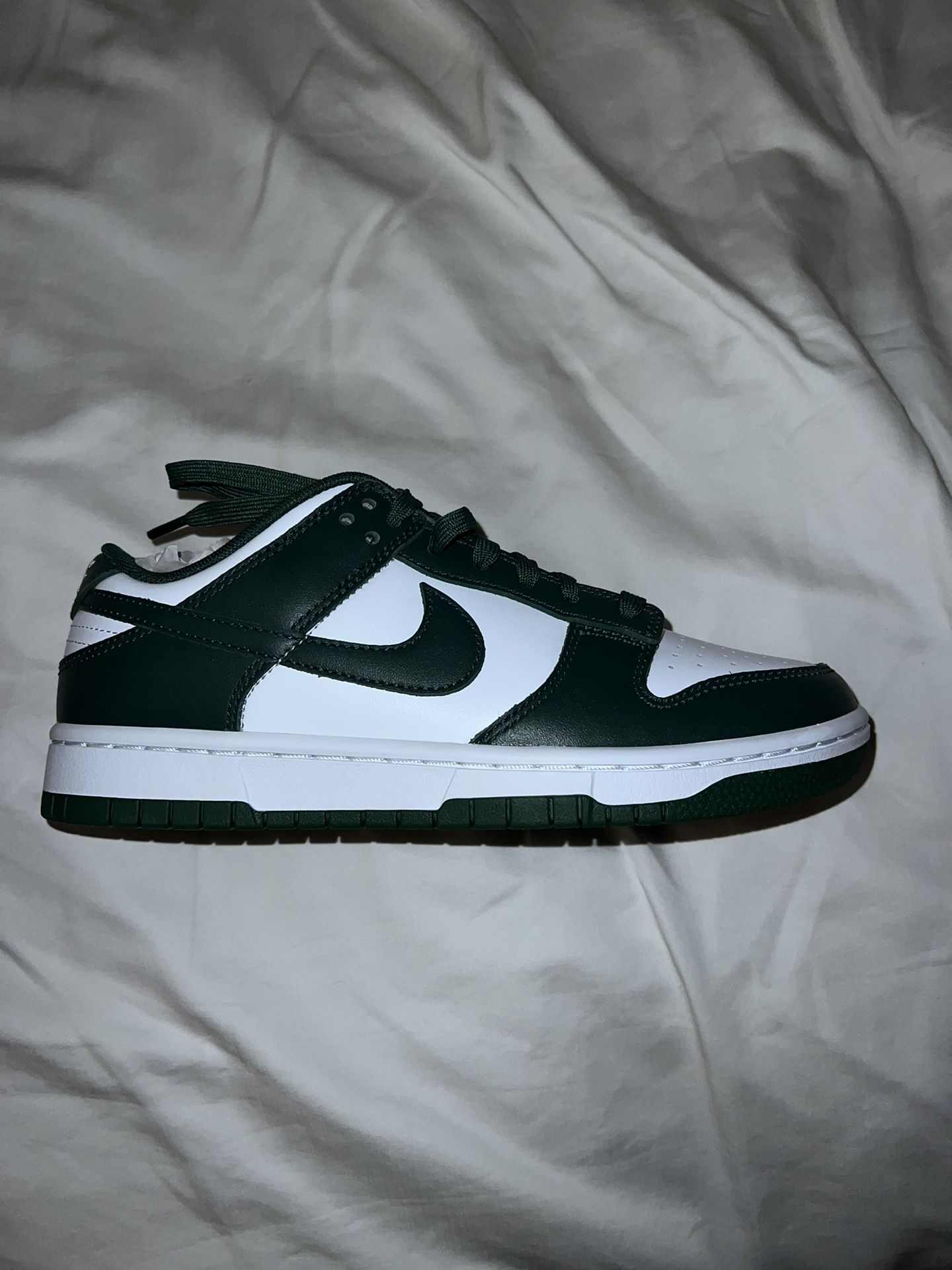 Nike Michigan Dunks