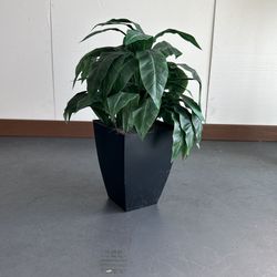 D&W Silks Jumbo Agave Plant