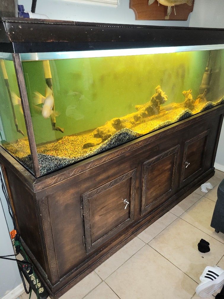 125 Gallon Fish Tank