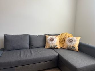 IKEA FRIHETEN Sleeper Sofa Gray