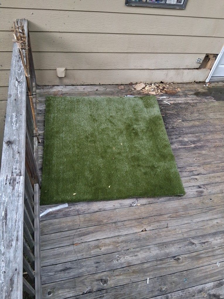 It's Biger Than Tht But Out Side And Indor Fake Grass