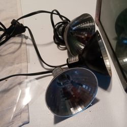 Terrarium With Food Tray Light Extra Light Housings Artificial Grass Double Sided Background And Artificial Plants. 