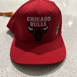 1996 Chicago Bulls Finals Mitchell & Ness SnapBack 