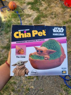 Chia Pet
