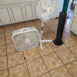 Fans-lot Of 3