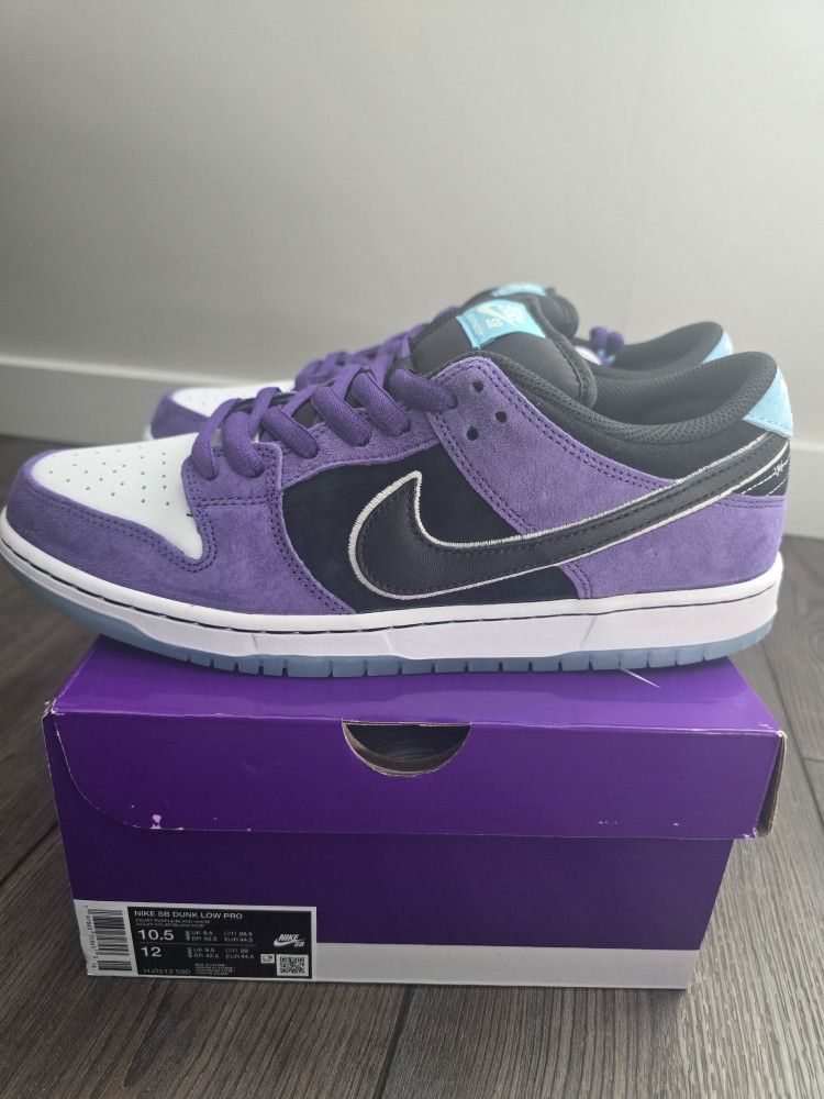 Nike SB Dunk Low Hayley Wilson Court Purple size 10.5 NEW!