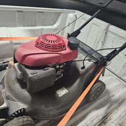 I Do Yards Clean Up Landscaping 