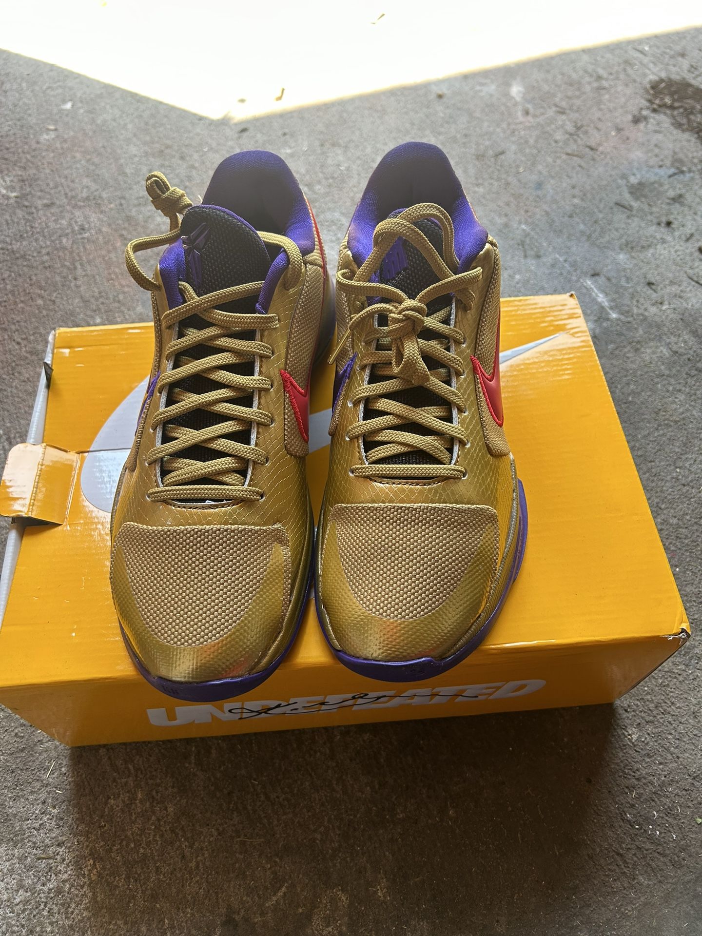 air cobe 5 protro undefeted