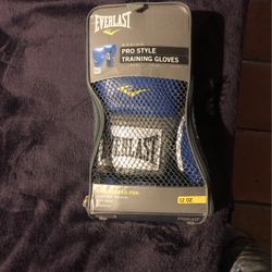 Everlast Boxing Gloves