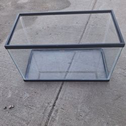 Fish Tank 10 Gallon