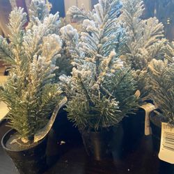 Artificial Minnie Potted Snow Pine Bundle Of 4 🌲
