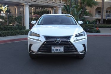 2019 Lexus NX