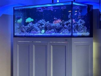 Turn key reef tank setup