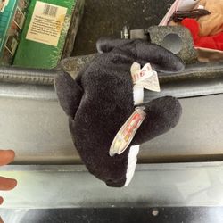Splash The Orca Beanie Babie