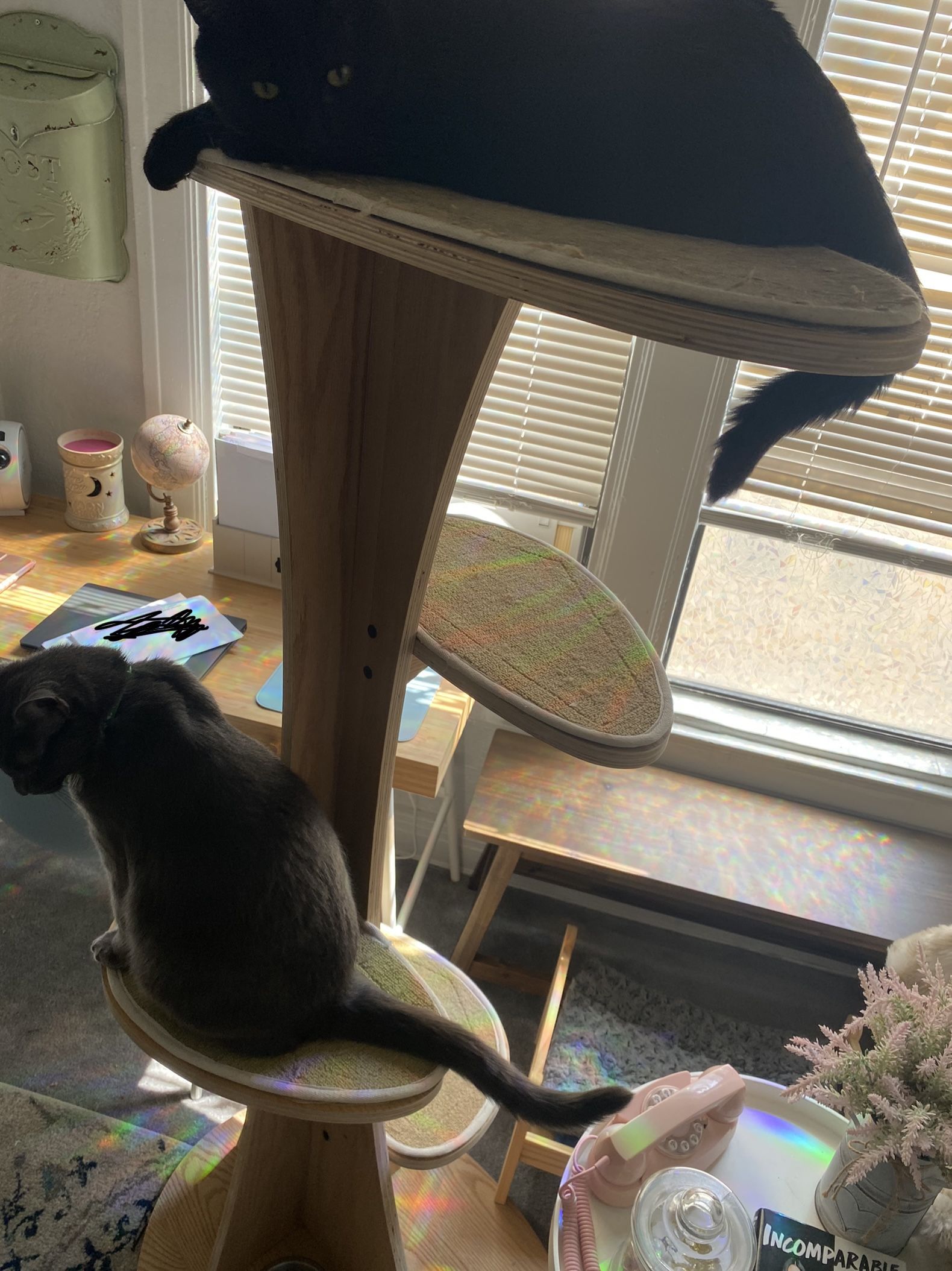 Cat Tree