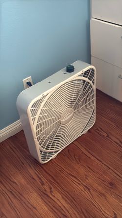 Fan