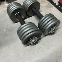 pair of 30lb adjustable dumbbells. 60lb in total 	
