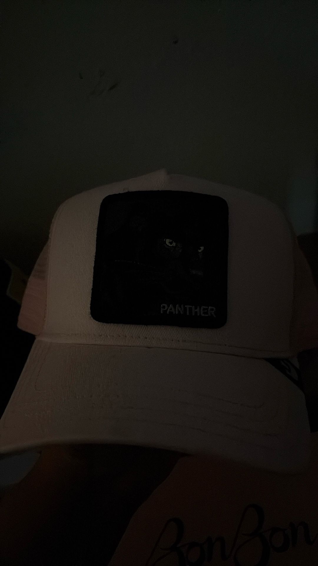Light Pink Panther Hat
