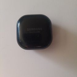 Samsung AKG Earbuds/$70