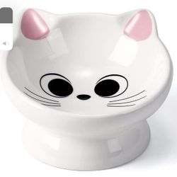 Ceramic Tilted & Elevated Cat Food Bowl
