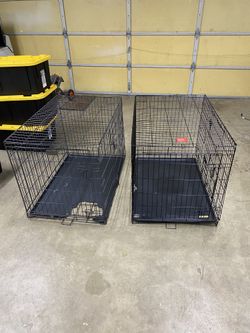 Two Large Dog Crates SAME SIZE